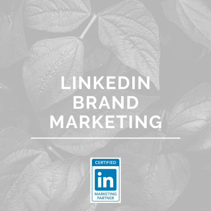 LinkedIn Ad Agency